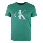 CALVIN KLEIN CK PRINT T-SHIRT-new arrivals-BIGGUY.COM.AU