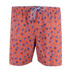 GAZMAN SEA SHELLS BATHERSHORT-swimwear-BIGGUY.COM.AU